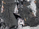 Zinc (bisglicinato)