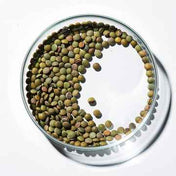 Vitamin B6